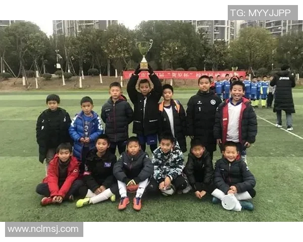 南京足球队实力分析与发展前景的深度探讨与展望