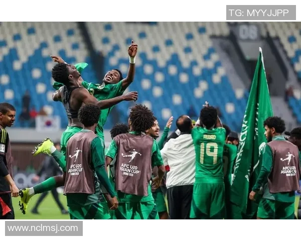 沙特阿拉伯外籍足球明星阵容全面解析与球员背景介绍