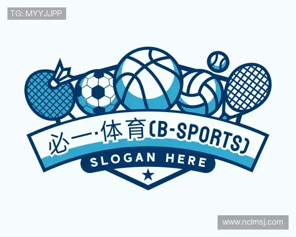 关于bsports